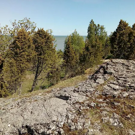 Tammemarise Puhkemaja *