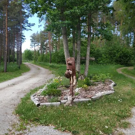 Tammemarise Puhkemaja Mandjala