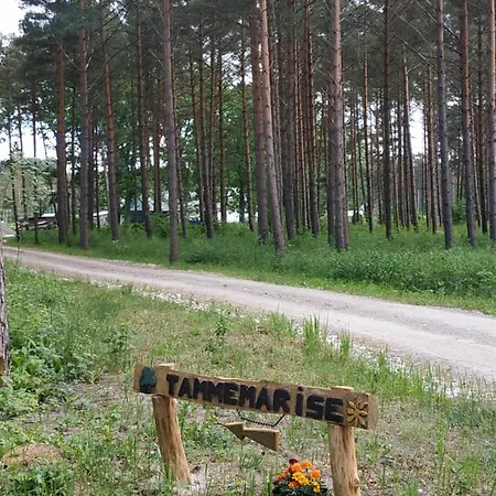 Tammemarise