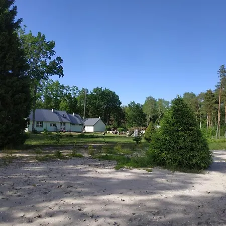 Tammemarise * Mandjala